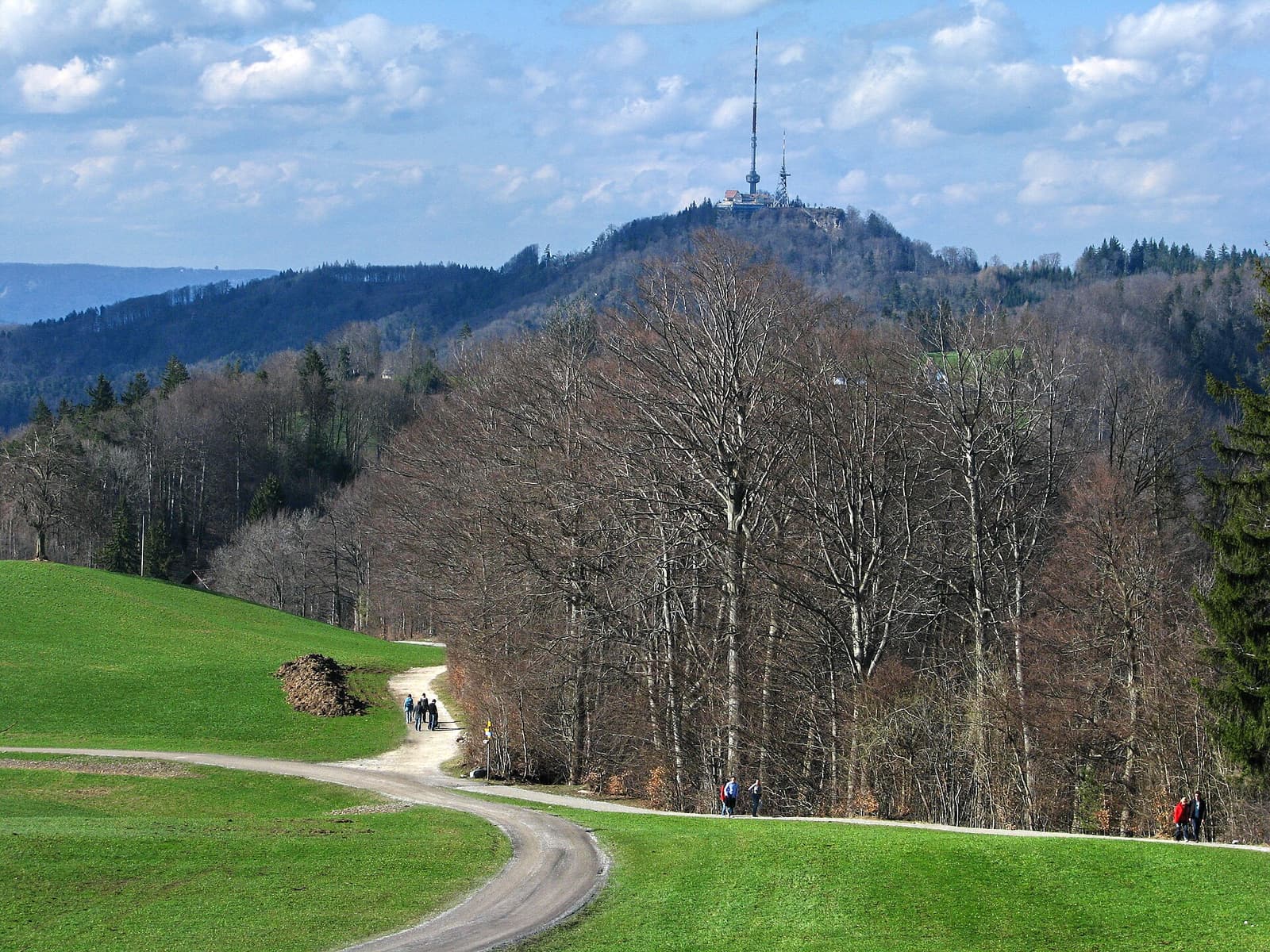 Un chemin de gravier à travers un pré sur la crête de l’Albis, avec l’Uetliberg et sa tour de télévision au loin