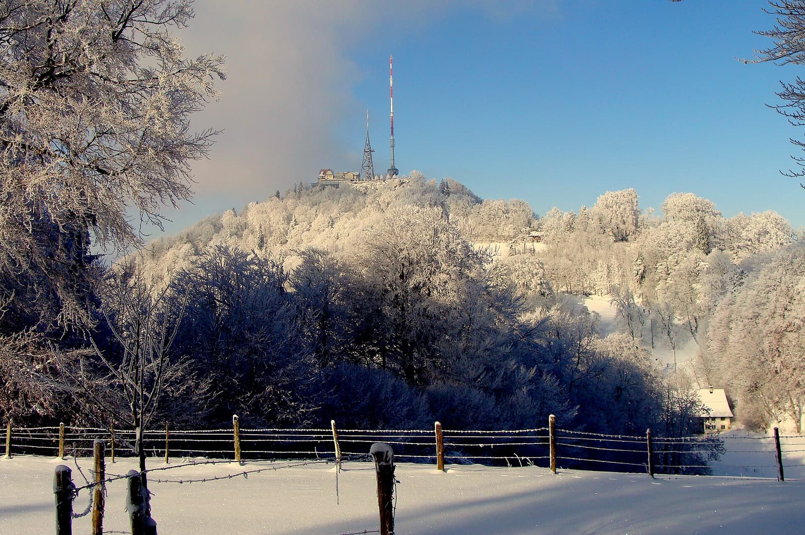 Le sommet enneigé de l’Uetliberg et son émetteur, derrière des arbres givrés et une clôture