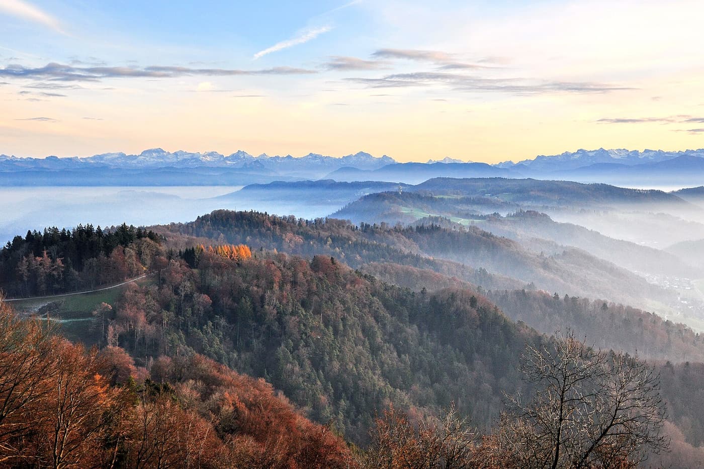 La crête de l’Albis aux couleurs d’automne, avec les Alpes enneigées à l’horizon, vue de l’Uetliberg