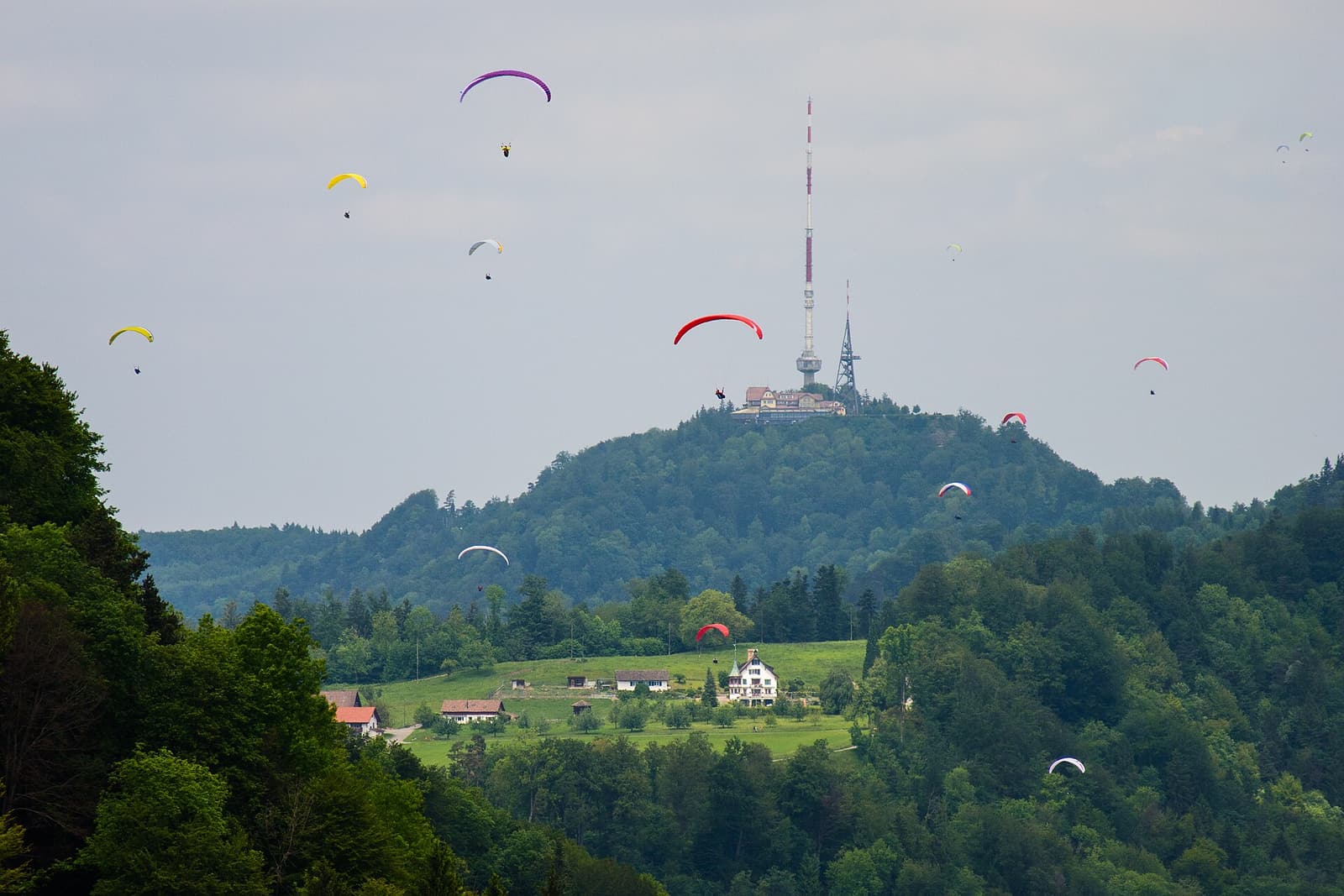 Des parapentes en vol autour du sommet boisé de l’Uetliberg et de son émetteur