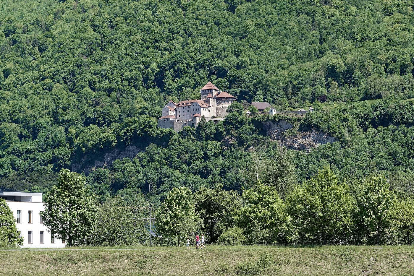 Le château de Vaduz sur un versant boisé au-dessus de la vallée du Rhin, au Liechtenstein